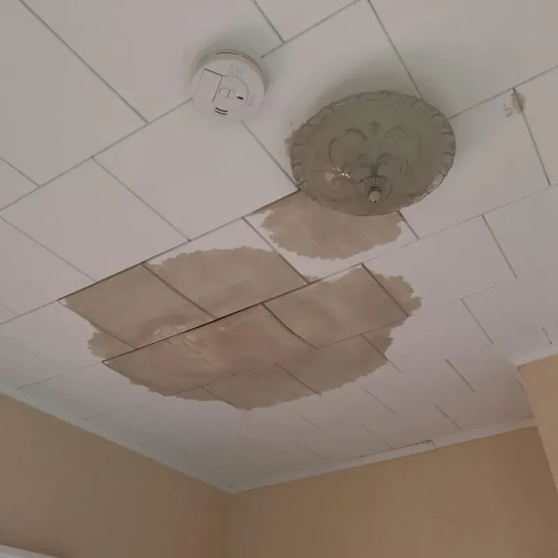 Ceiling Water Damage Repair in Holley, NY