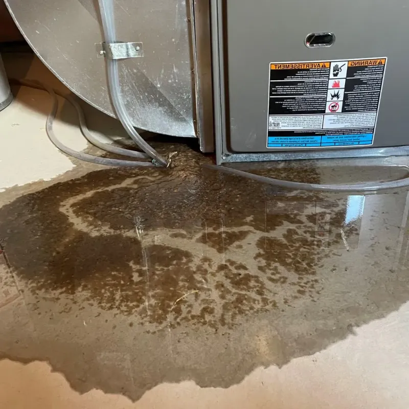 Pipe Burst and Leak Restoration in Holley, NY