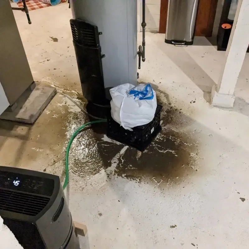 Sewage Backup Cleanup Service in Holley, NY